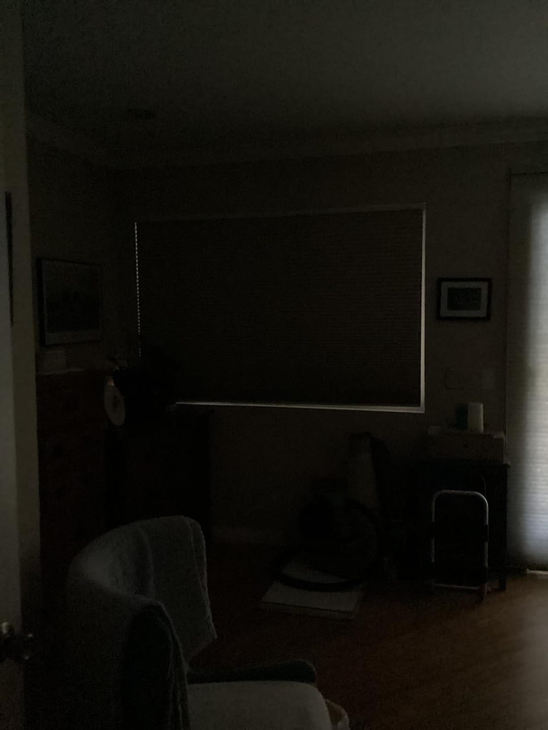 Customer photo review of Bringnox Blackout Motorized Cellular Shades