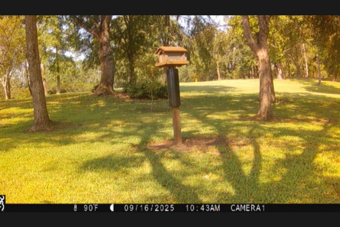 Customer photo review of Raccoon & Squirrel Baffle 4x4 Post-Mount