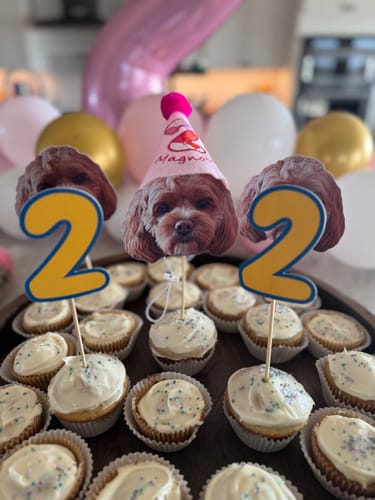 Customer photo review of Personalized Dog Party Pack