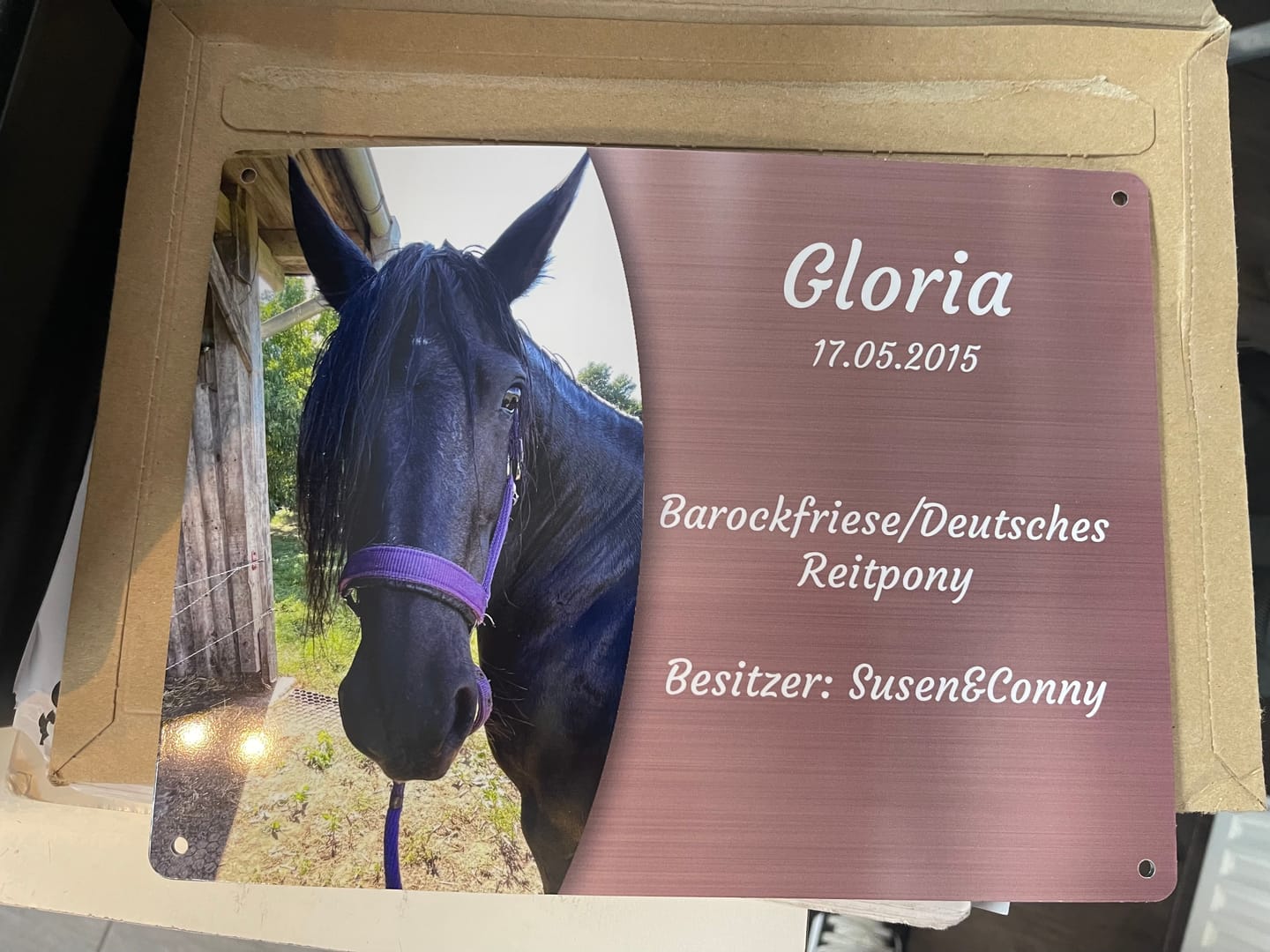 Customer photo review of Pferde Boxenschild mit Foto & Wunschtext (UV- und wetterfest)