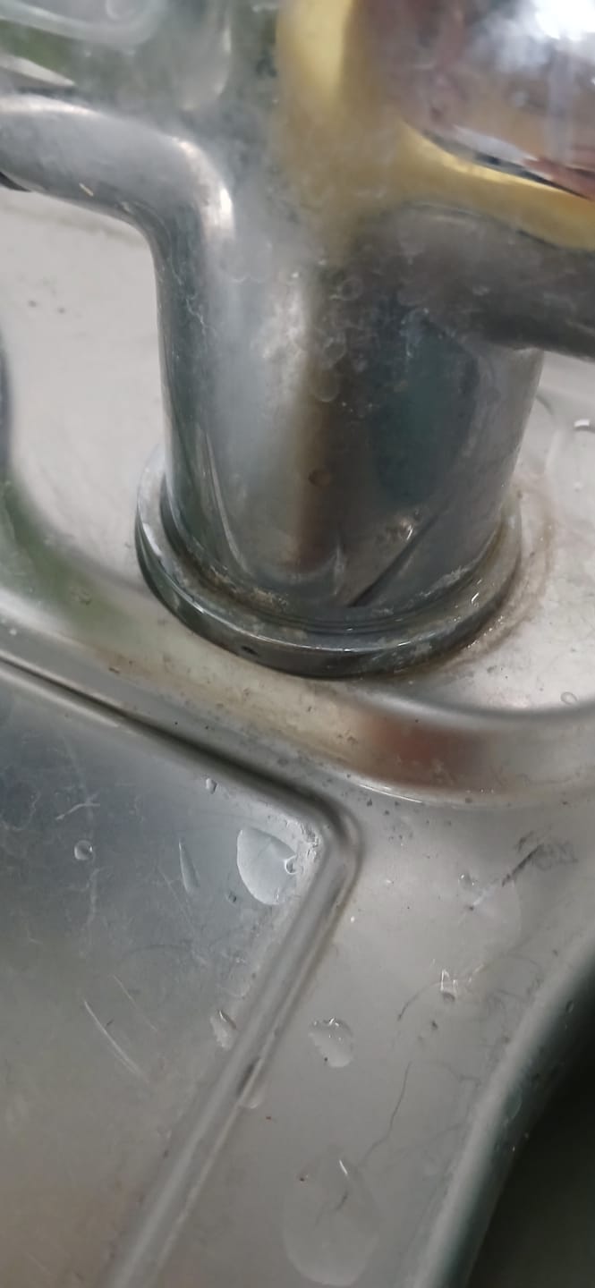 Customer photo review of Scale It Down - Limescale cleaner