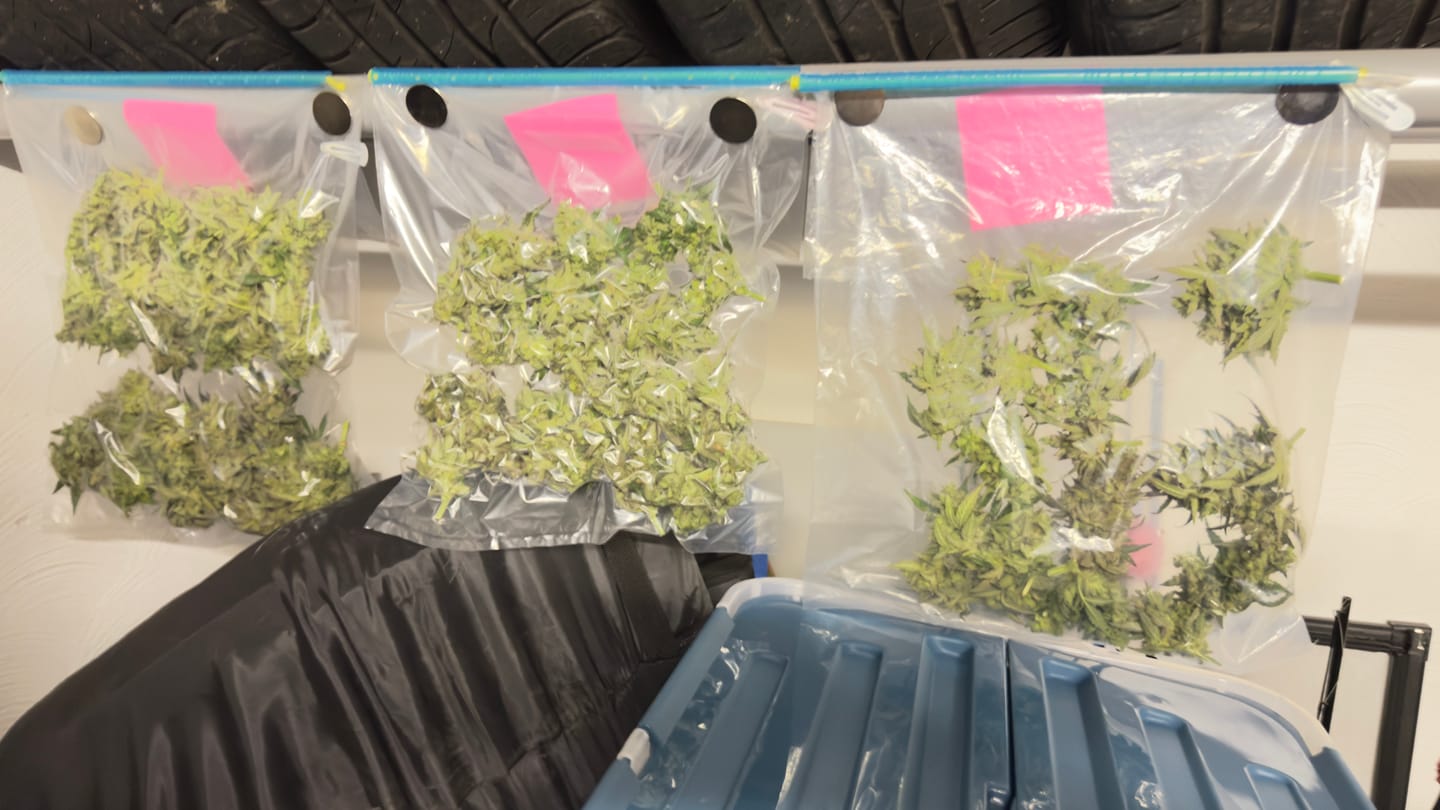 Customer photo review of Dry Ferm Bag (3er Set)