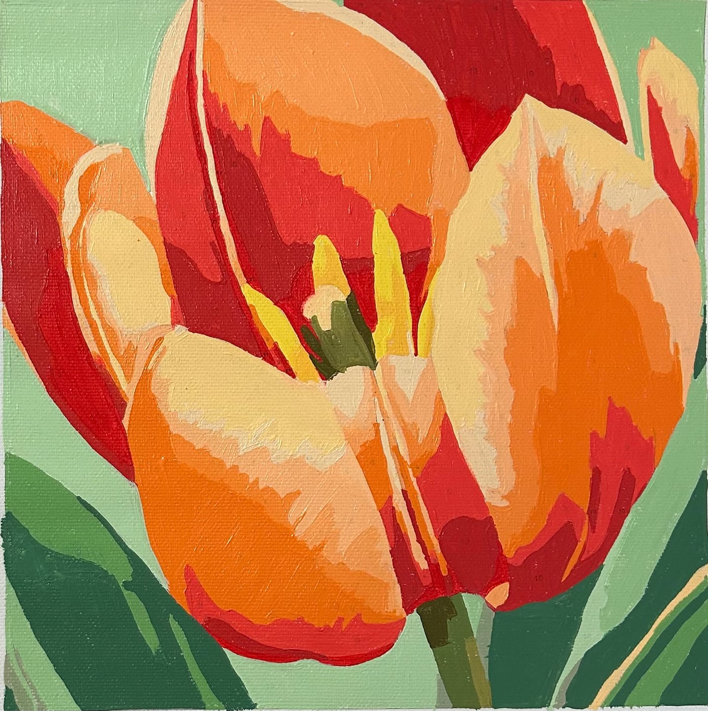 Customer photo review of Vibrant Tulip