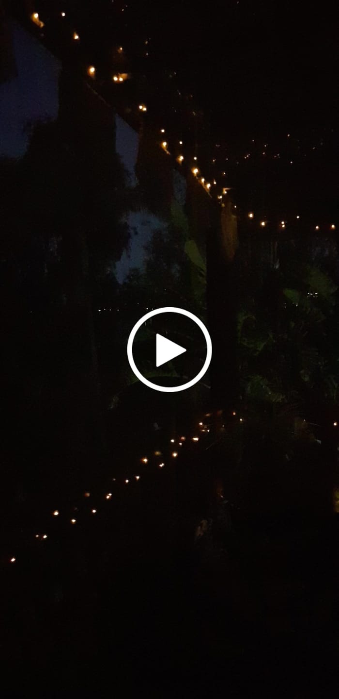 Customer video review of Black String Solar Fairy Lights