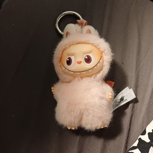 Customer photo review of Pop Mart Labubu The Monsters Pin for Love Series Vinyl Plush Pendant Blind Box (A-M)