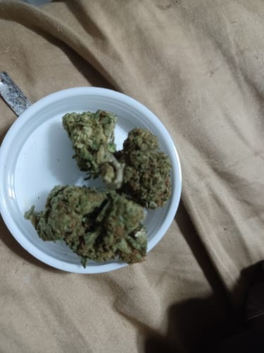 Customer photo review of OG Kush - Indoor - 28 Grams (Indica)