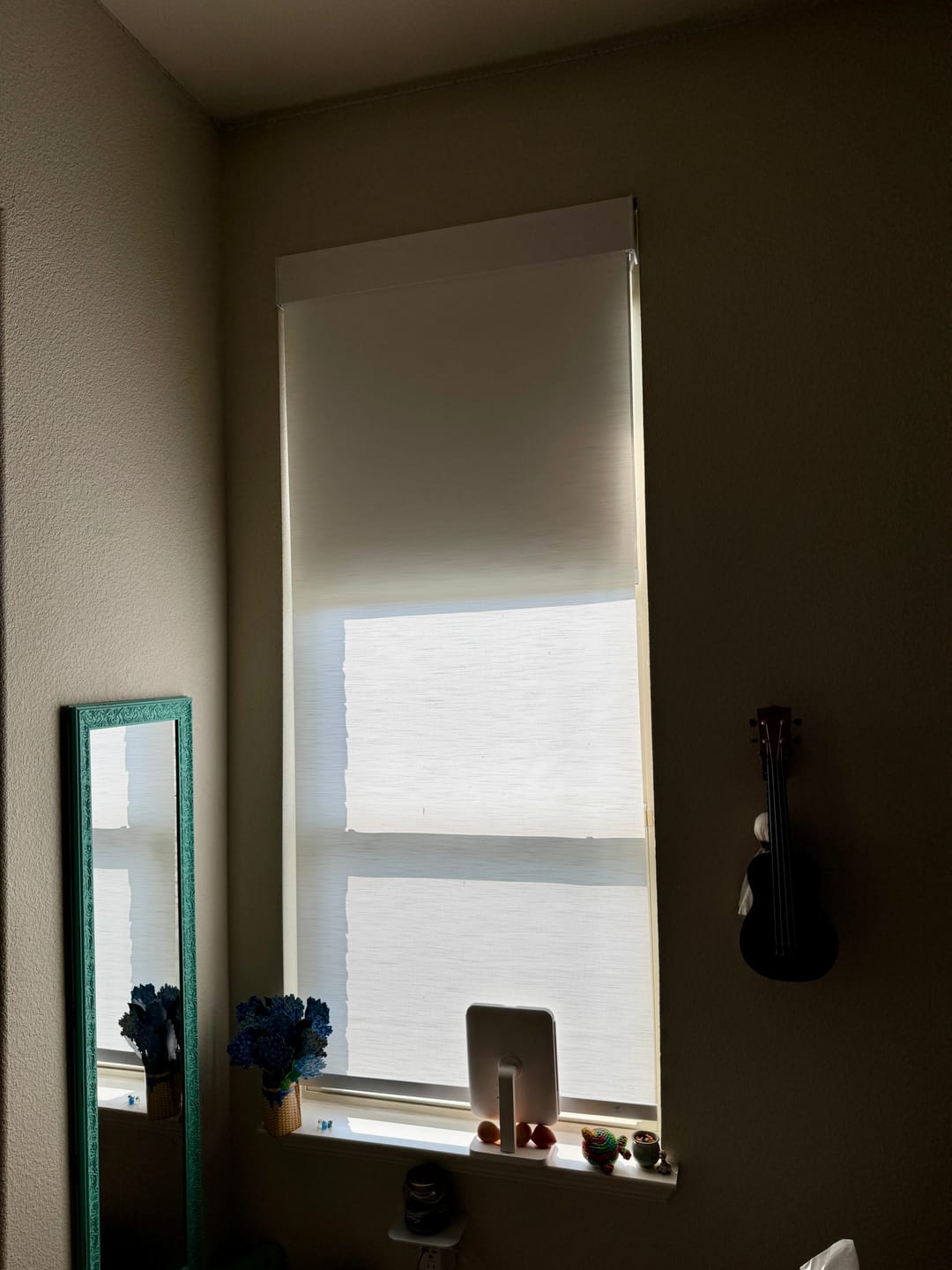 Customer photo review of SmartWings Motorized Dual Shade Harmony Duo Plus