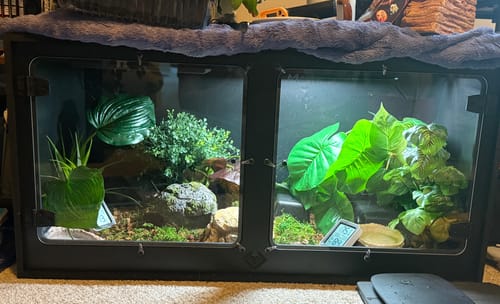 Customer photo review of XT3 36Lx18Dx18H - STACKABLE