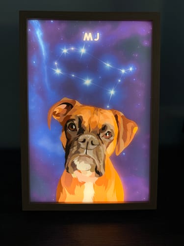 Customer photo review of Constellation Pet Portrait LED Night Light