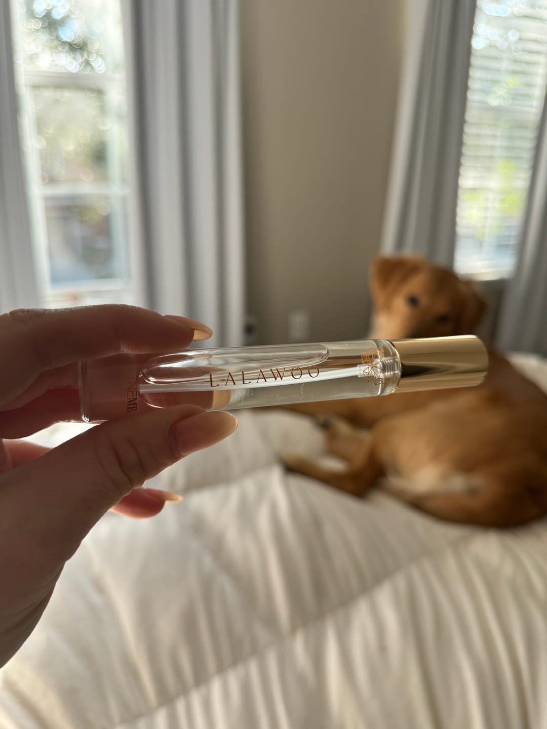 Customer photo review of Lalawoo Travel Spray