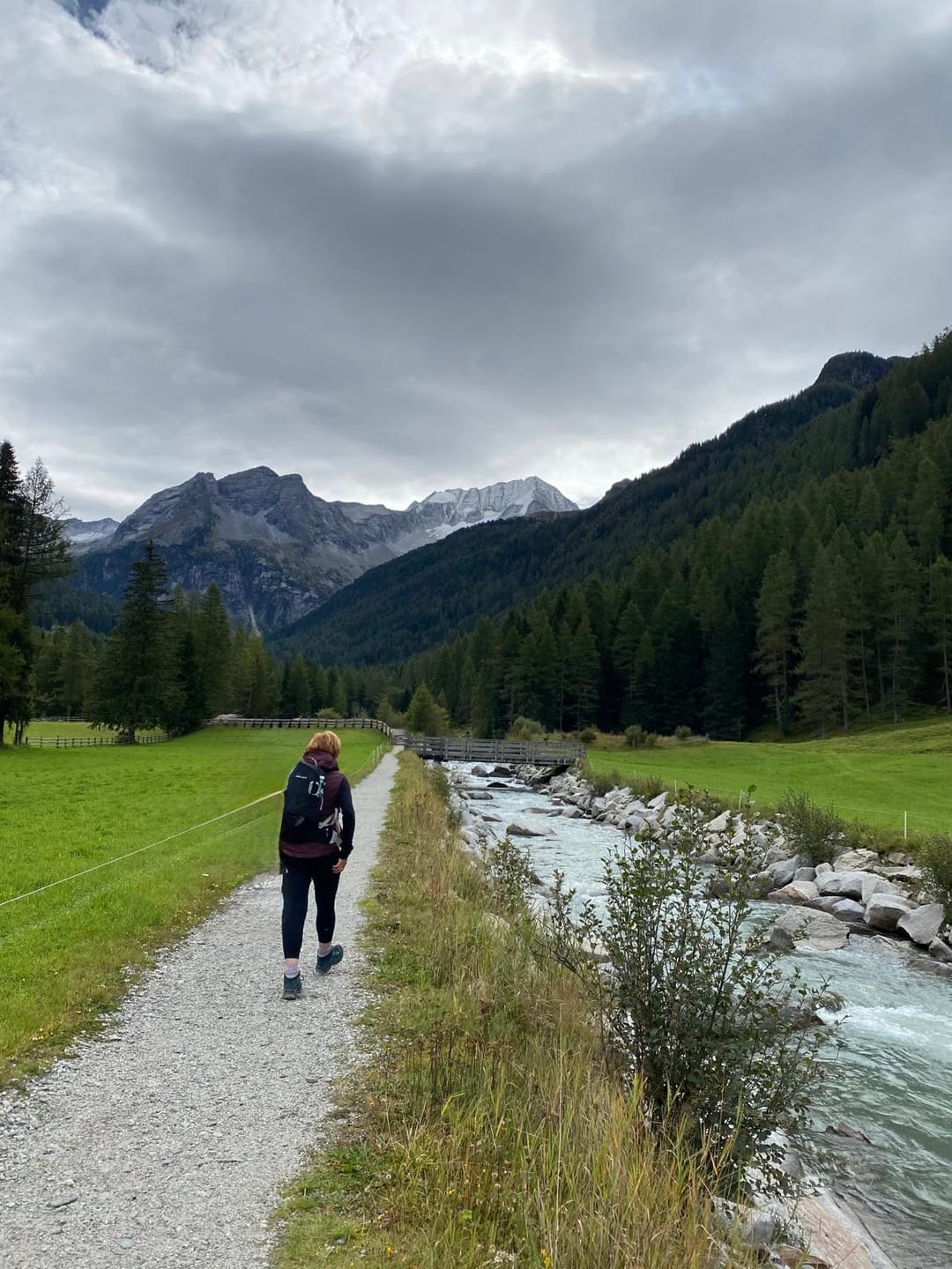Customer photo review of Pala Premium 7/8