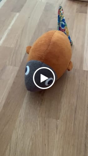 Customer video review of LOUISETTE, LE POISSON