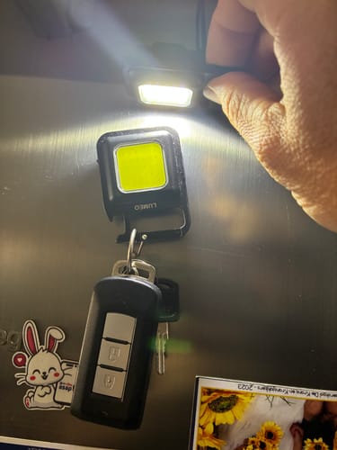 Customer photo review of Lumeo Pro BrightBuddy Keychain Light (FREE GIFT)