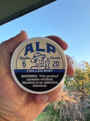 Customer photo review of Chilled Mint Nicotine Pouches