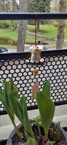 Customer photo review of Carillon giapponese Maneki Neko