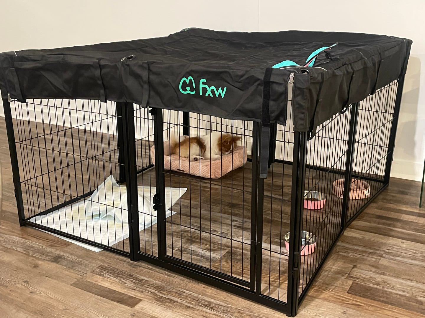 Customer photo review of Bundle - Homeplus Dog Playpen & Black Playpen Cover (2 PCs)