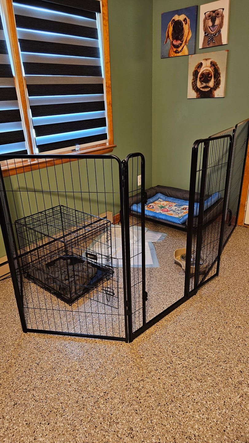 Customer photo review of Homeplus Dog Playpen for Indoor Use