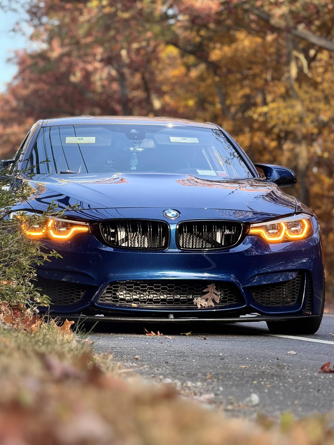 Customer photo review of AMBER DRL LED MODULE SET - F80 M3 | F82 / F83 M4
