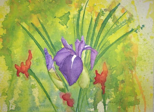 Customer photo review of 8x12 Giclee Fine Art Prints