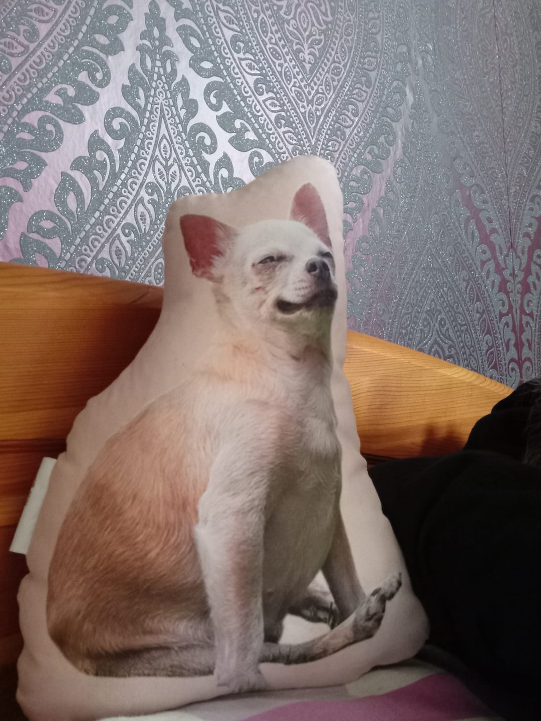 Customer photo review of Personalisiertes Hundekissen