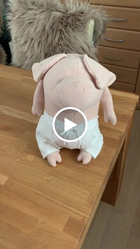 Customer video review of HELMUT, LE COCHON - GRAND