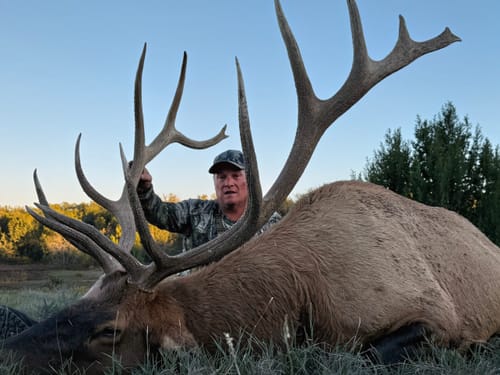 Customer photo review of Titanium Broadheads