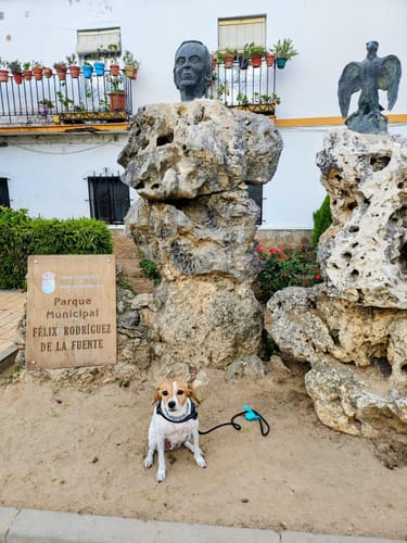 Customer photo review of Grain Free Cordero