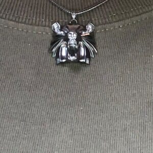 Customer photo review of Bear School Pendant