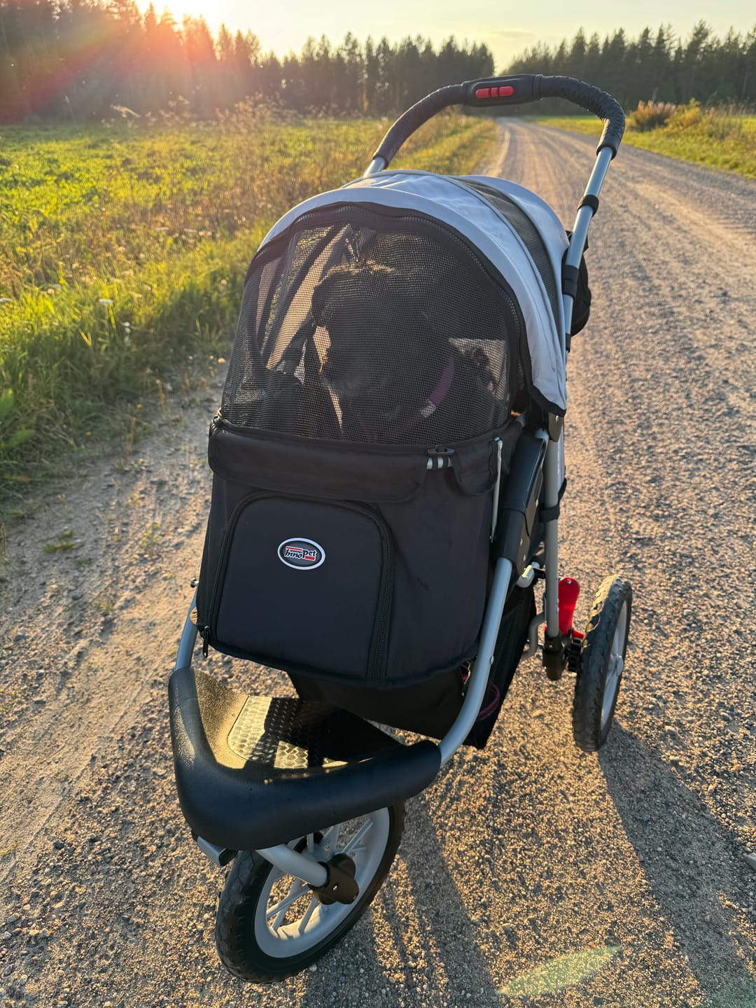 Customer photo review of Comfort EFA ECO lemmikkirattaat