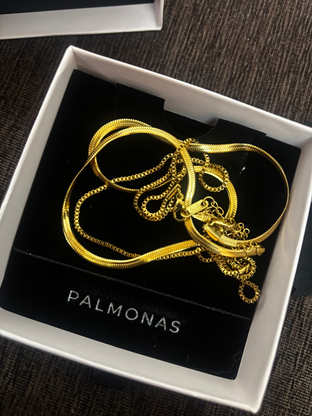 Customer photo review of Double Chain Delight Necklace
