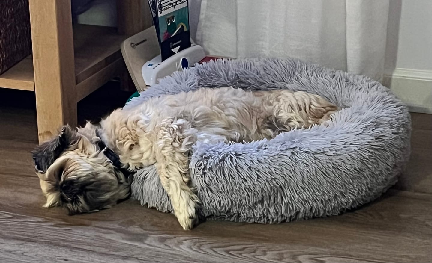 Customer photo review of Fluffy Donut Hundeseng, grå