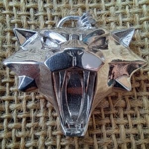 Customer photo review of Cat School Pendant