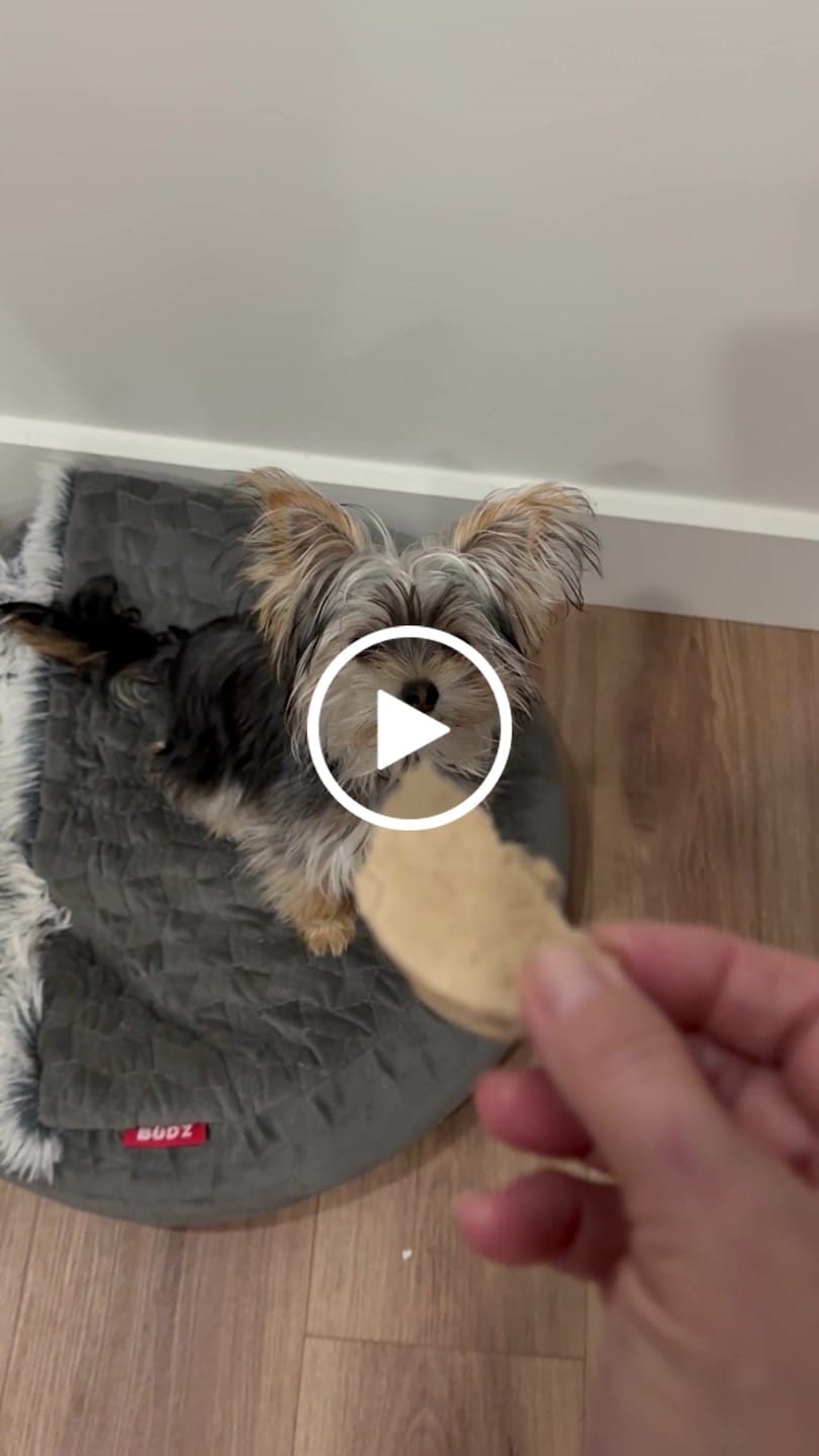 Customer video review of Stella & Chewy's - Dinner Patties Galettes Diner lyophilisées pour chien