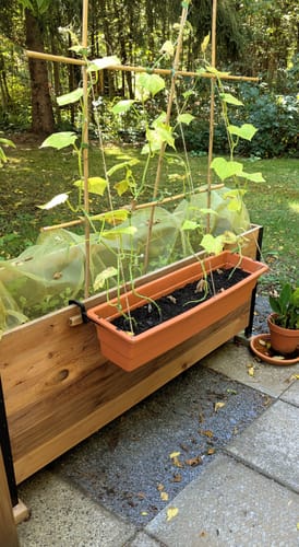 Customer photo review of 18" x 60" Planter Box - 24" TALL