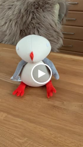 Customer video review of JOSETTE, LA MOUETTE