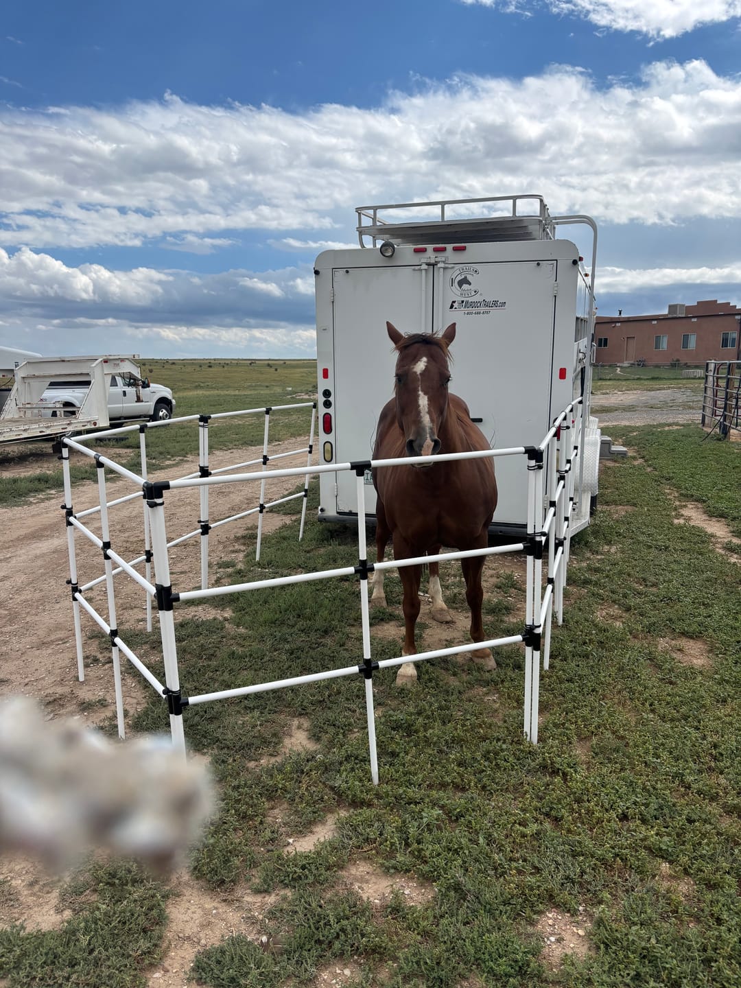 Customer photo review of DIY Honey-Do Box Set: EconoLine (6 Panels; 3 Rails)