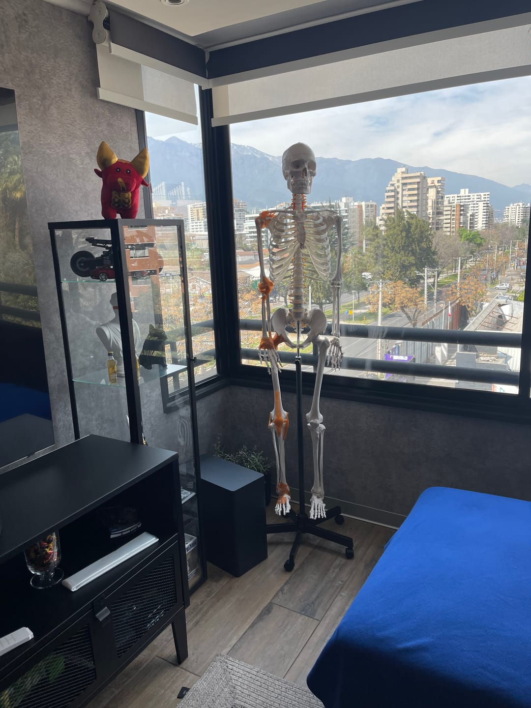 Customer photo review of Esqueleto 170 cm con Ligamentos