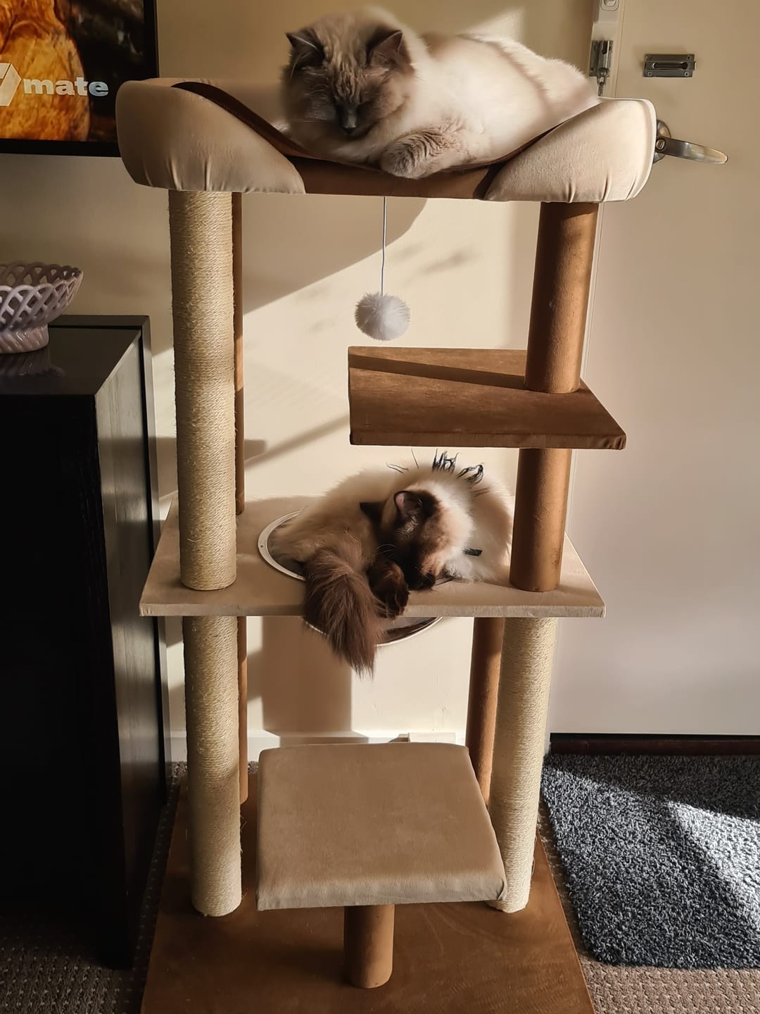 Customer photo review of Luxury Japanese-Style Cat Tree with Large Bed – 90906