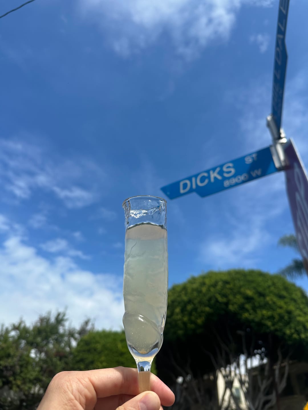 Customer photo review of The Willy