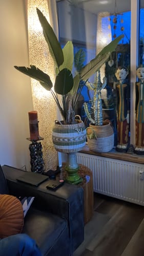 Customer photo review of Strelitzia Kunstplant 120cm