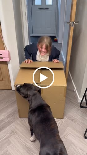 Customer video review of Cruising Home For Christmas Advent Calendar 2025