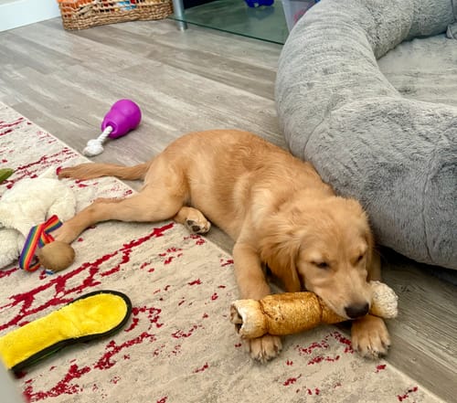 Customer photo review of Starter Pack