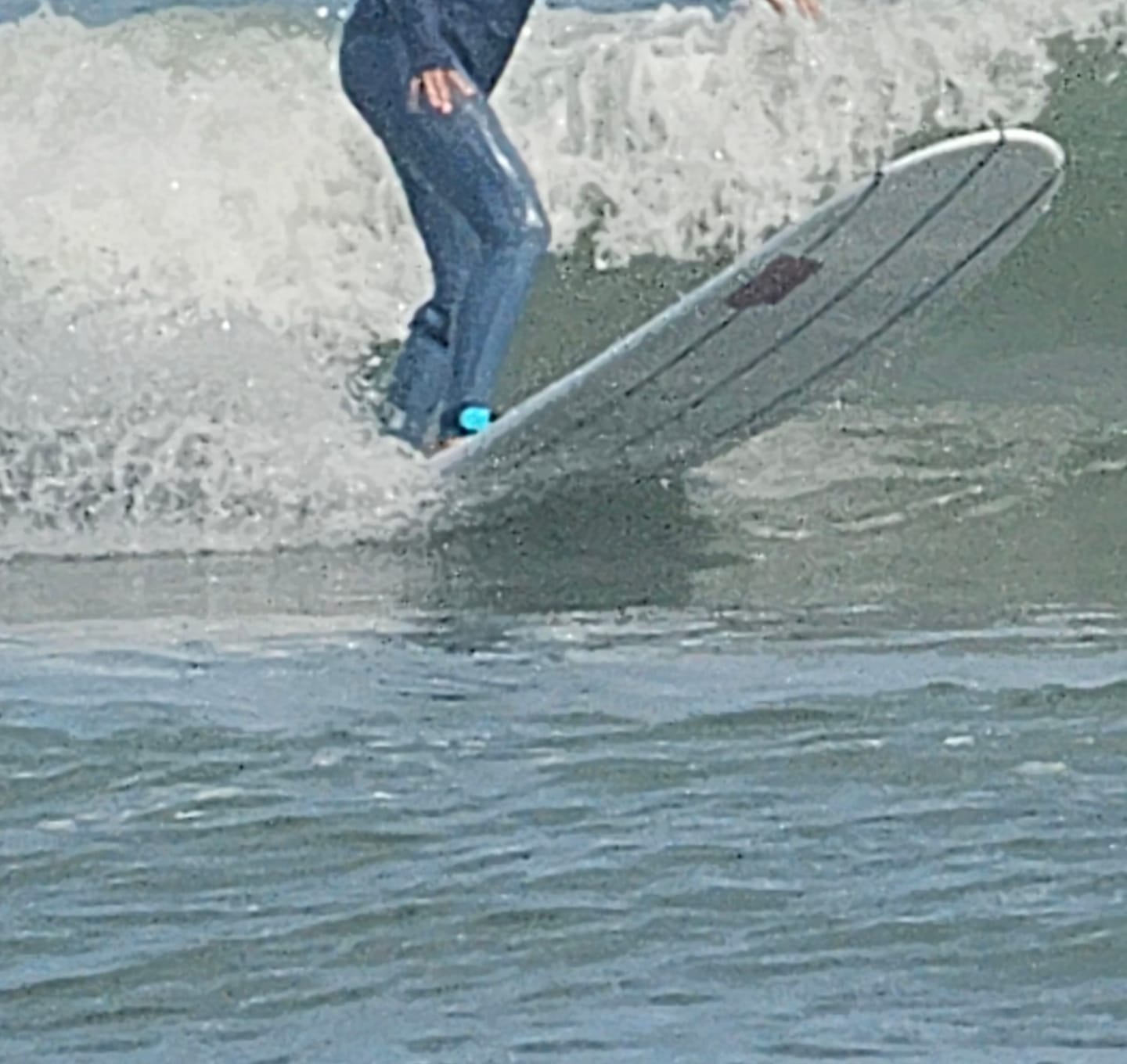 Customer photo review of Sharkbanz 2 – Wearable Shark Deterrent