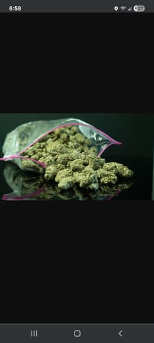 Customer photo review of Frosted Donuts Exotic THCA Flower