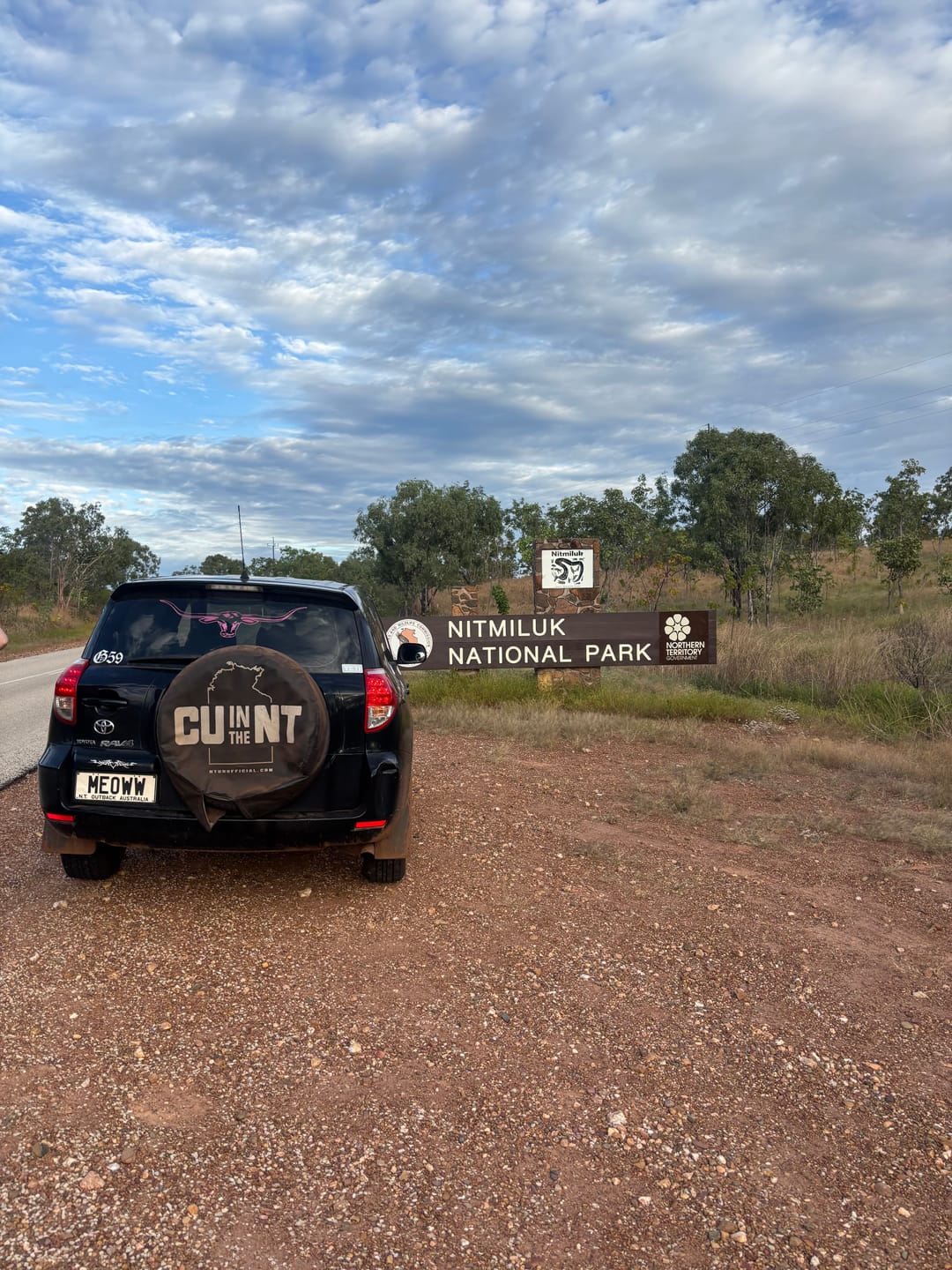 Customer photo review of NT Wheel Cover