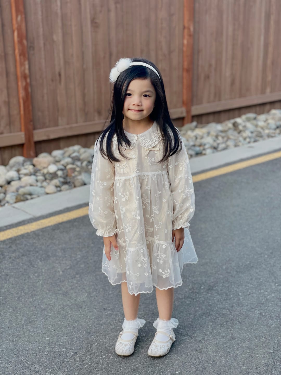 Customer photo review of Dave&Bella Toddler Girls Autumn Beige Embroidered Craft Court Style Mesh Princess Dress
