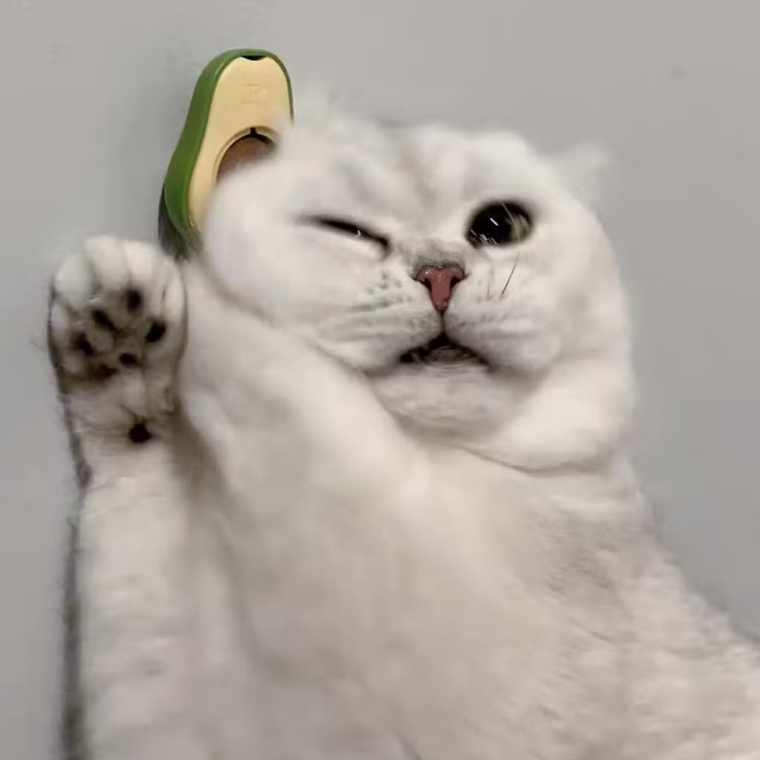 Customer photo review of Kittycado -  Natuurlijke Kalmerende Kauwspeeltje