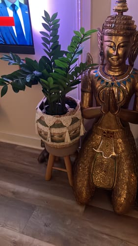Customer photo review of Zamioculcas Kunstplant 75cm