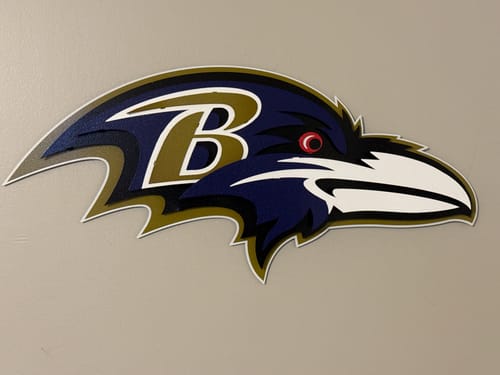Customer photo review of Baltimore Ravens "Raven Mascot" 3D Vintage Metal Wall Art