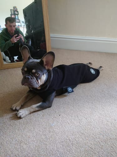 Haydn W. review of Dog Fleece With Zip - Black image 1 out of 1